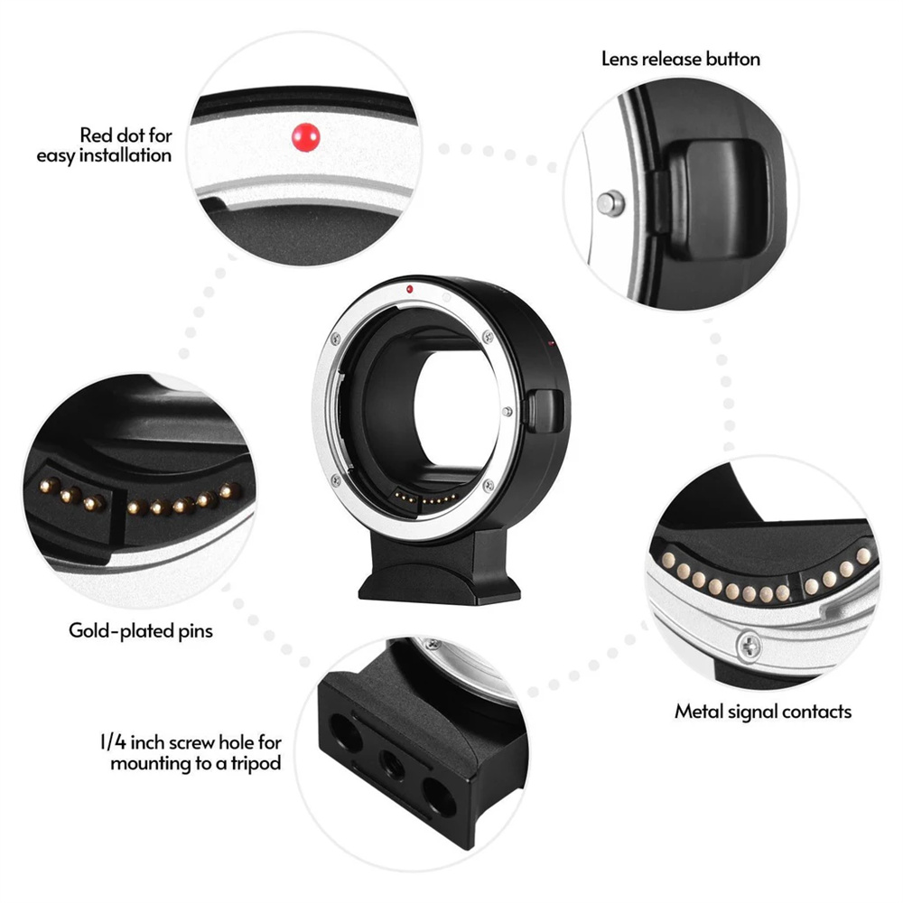 EOS R Mount Adapter EF/EF-S Le - đánh giá và giá Canon Camera Eos R50